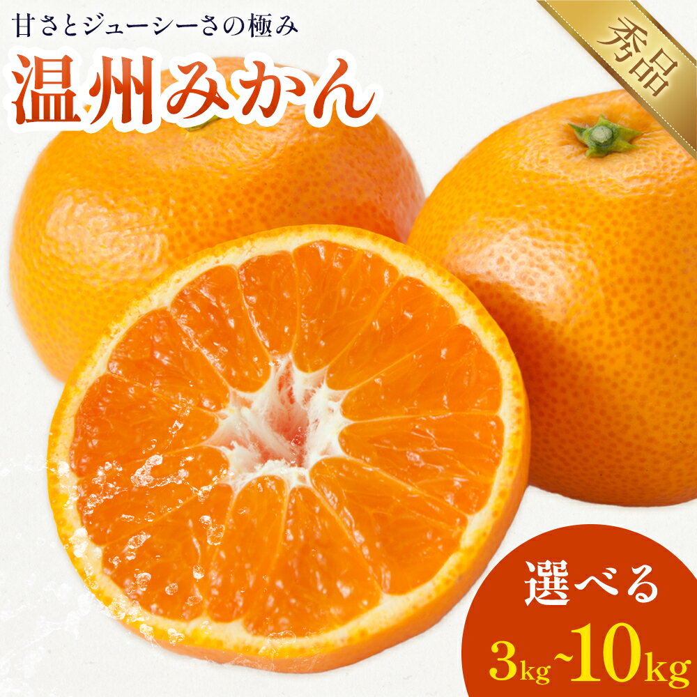 【ふるさと納税】温州みかん 選べる 内容量 約3kg～約10kg 日本フルーツ株式会社 熊本県 長洲町 《11月上旬～12月上頃に出荷予定（土日祝除く）》 デコポン 果物 秀品 フルーツ スイーツ デザート ギフト ご贈答