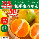 【ふるさと納税】みかん 極早生 箱込2.5～10kg S/M/Lサイズのいずれか 秀品 優品 混合 有田みかん 和歌山県産 【みかんの会】