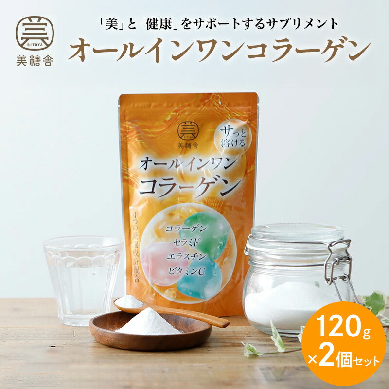 【ふるさと納税】オールインワンコラーゲン 120g 2個セット FY25-416