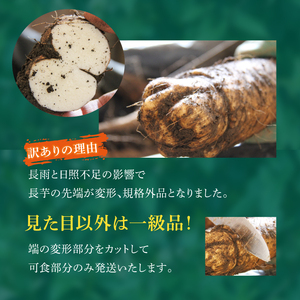 変色しない！ 訳あり 土付き 長芋 10kg 【マル庄】 ／ 長いも 長イモ ながいも 山芋 やまいも ヤマイモ 芋 いも イモ 春野菜 秋野菜 生野菜 根菜 訳あり 訳アリ わけあり ワケアリ 時短