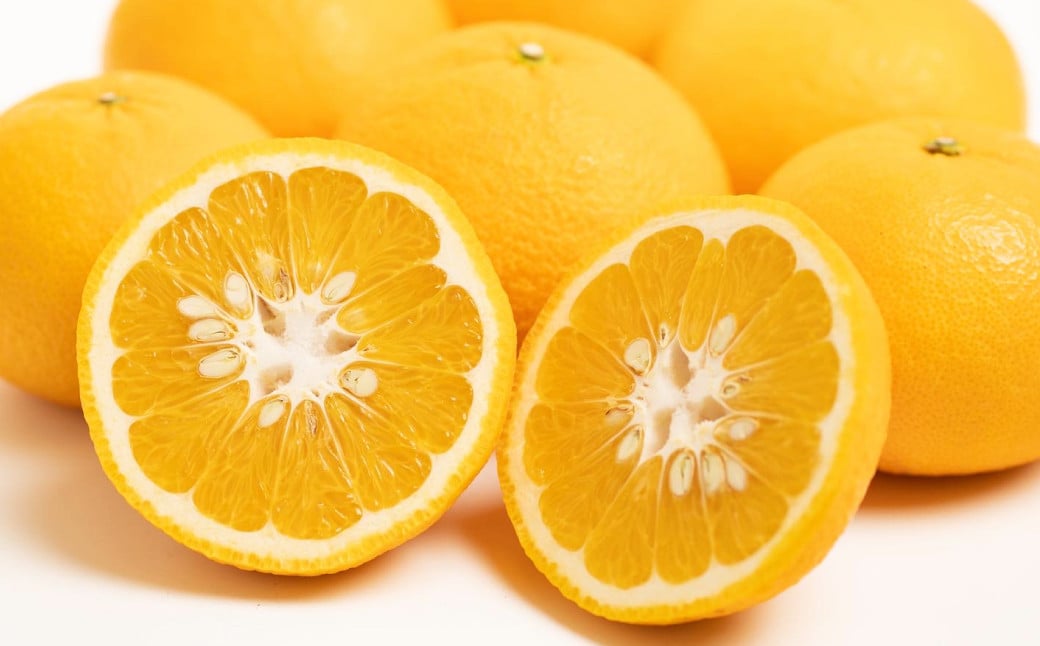 
            【訳あり】 甘夏 10kg 柑橘 訳あり みかん 蜜柑 ミカン フルーツ 果物 くだもの 愛媛みかん 愛媛県産 【2026年2月下旬～3月下旬発送予定】【えひめの町（超）推し！（愛南町）】（571-1）
          