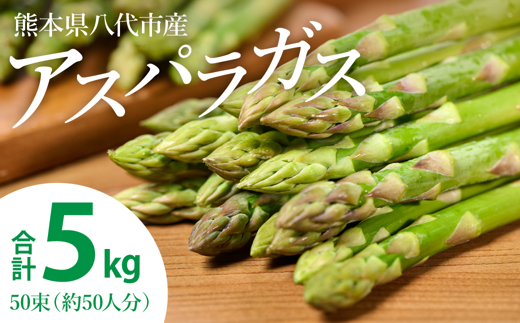 【先行予約】 熊本県 八代市産 アスパラガス 5kg 新鮮 アスパラ 野菜 やさい 旬 【2026年4月上旬より順次発送】