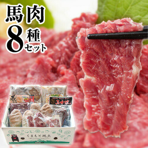 【ふるさと納税】純国産馬肉8種セット 計2200g 熊本肥育 2年連続農林水産大臣賞受賞 送料無料 馬刺し 馬肉 馬スジ ホルモン 燻製 霜降り ハンバーグ 熊本県南関町《60日以内に出荷予定(土日祝除く)》