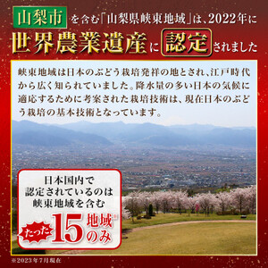 【2024年度先行受付】大人気!山梨のシャインマスカット2～3房　1.1kg以上 ふるさと納税【配送不可地域：離島】【1274436】