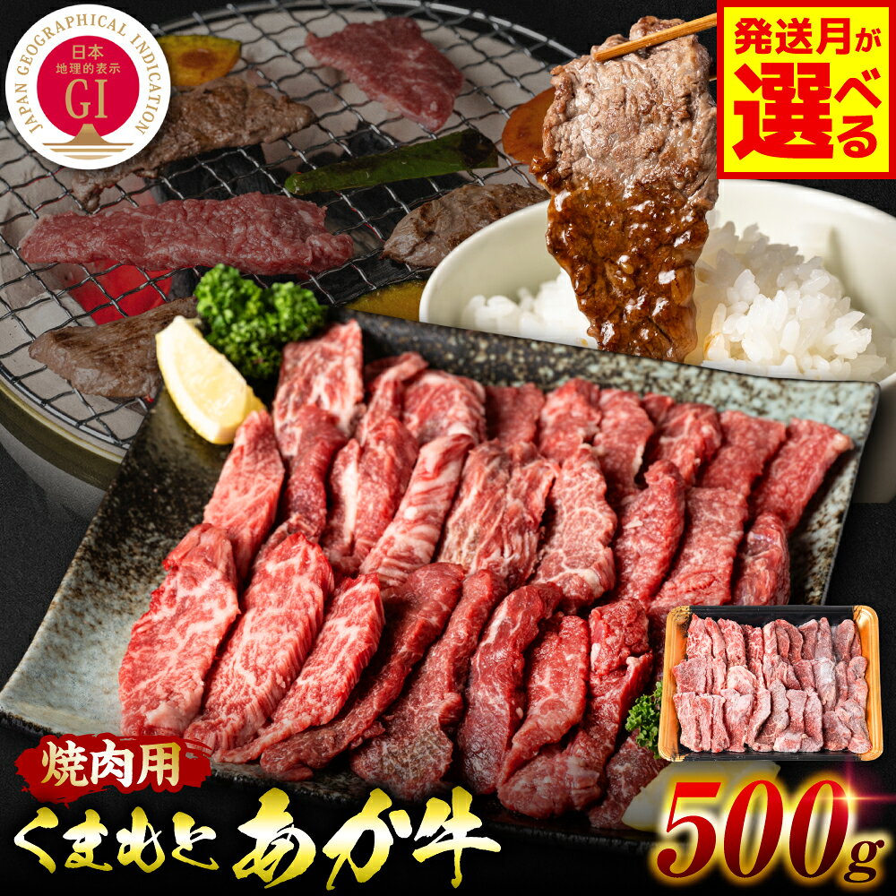 【ふるさと納税】令和8年熊本地震復興支援 【GI認証】 くまもとあか牛 焼肉用 500g 【選べる発送月】 お肉 牛 焼肉 BBQ 赤身 バーベキュー 和牛 牛肉 褐毛和牛 国産和牛 国産 冷凍 熊本県 八代市 送料無料