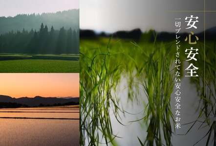 魚沼産コシヒカリ 雪椿 2kg×2袋 化粧箱入り 特別栽培米 ギフト  | 魚沼 津南町 令和7年