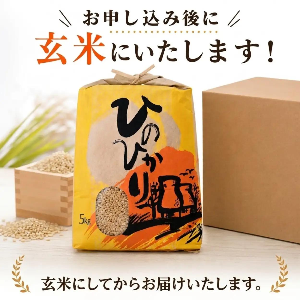 ひのひかり 玄米 5kg 2025年産［1120-4］
