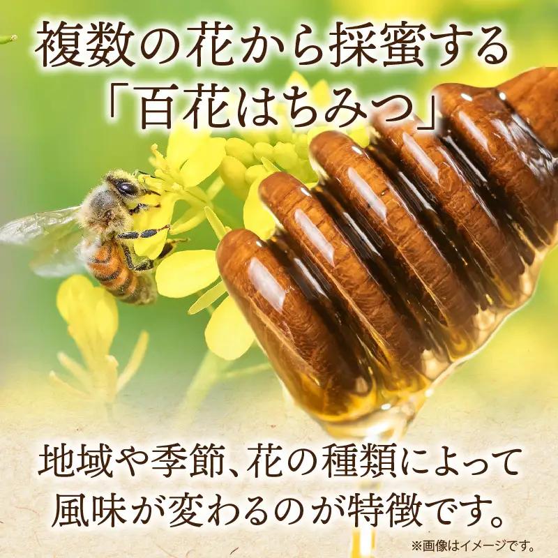 国産百花はちみつ300g×2本 はちみつ 蜂蜜 国産 百花はちみつ 西澤養蜂場