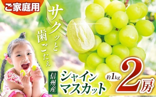 【先行受付】信州産 シャインマスカット 2房（約1㎏）｜ふるさと納税 松本市 シャインマスカット 果物 フルーツ 種なし 皮ごと 信州産 果肉 美味しい 人気 長野県