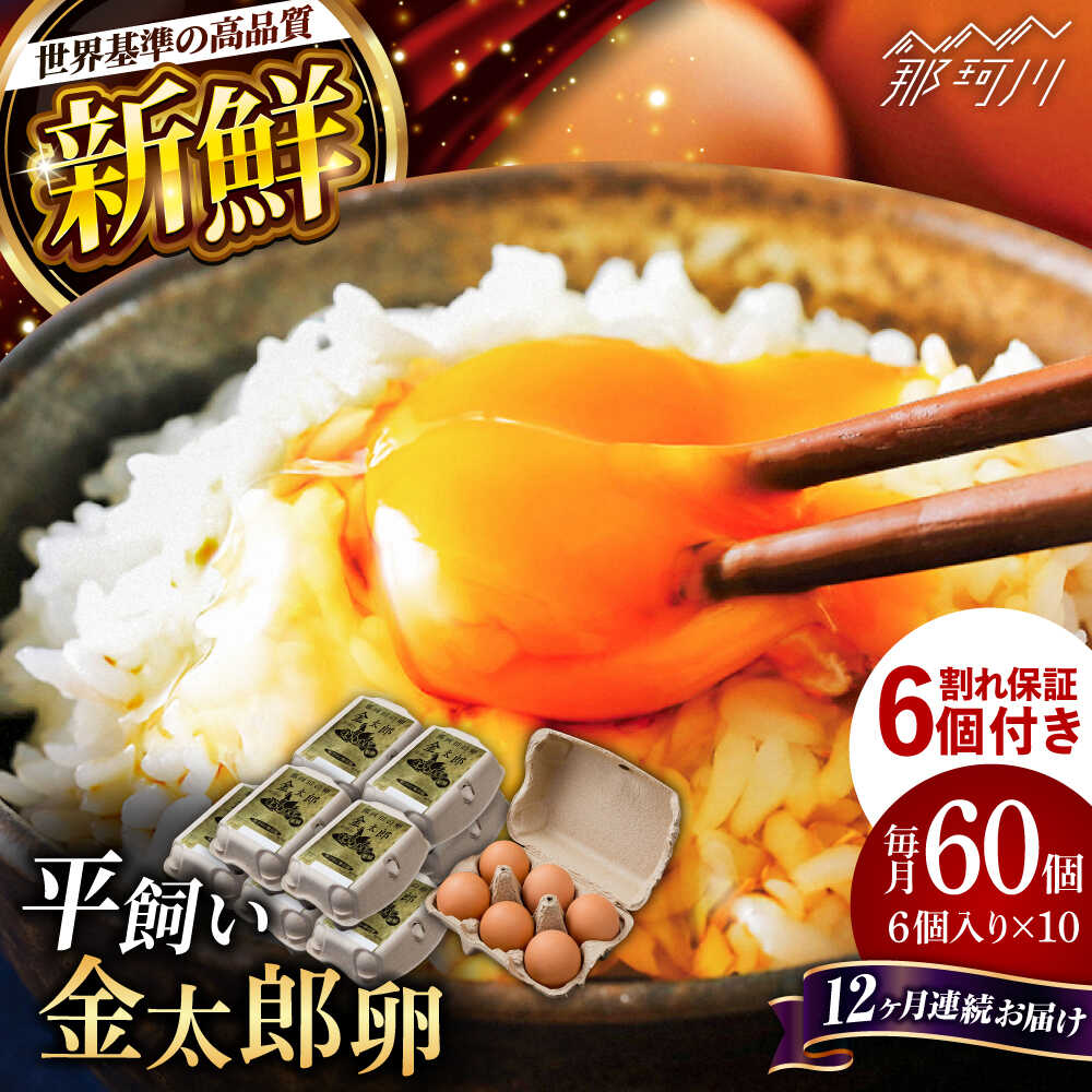 【ふるさと納税】【TVで紹介！】【全12回定期便】鮮度AA級の世界最高ランク！金太郎卵 平飼い たまご 60個（6個×10パック）＜有限会社 フジノ香花園＞那珂川市 定期便 卵 たまご 平飼い 定期便 卵かけご飯 新鮮 大容量 [GAM013]