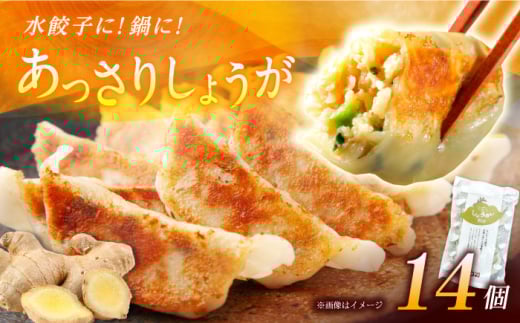 【お中元対象】【1パック】餃子屋ヒロの しょうが餃子 14個 【餃子屋ヒロ】餃子 ぎょうざ ギョーザ 食品 中華 冷凍 惣菜 おかず にんにく不使用 餃子 ぎょうざ ギョウザ [BDAS006-1]