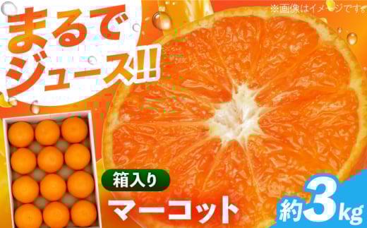 みかん ）マーコット約3kg 長与/JAじげもん長与直売所 [EAF006] みかん ミカン 柑橘 果物 オレンジ まーこっと フルーツ 高級 旬 甘い 濃厚 長崎県産