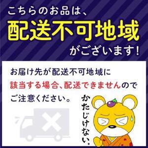 【吉田珈琲本舗】 煎りたて 、 挽きたて !ドリップコーヒーセット 5種50袋入り 6ヶ月定期便【配送不可地域：北海道・沖縄・離島】【010C-015】