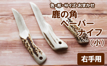 鹿の角 ペーパーナイフ 小 1個 右手用 【竜鹿】／ 鹿角 鹿 しか シカ グッズ 本物 加工 加工品 工芸 工芸品 クラフト ナイフ 右利き 日用品 雑貨 不揃い ふぞろい １個 人気 事務用品 事務 オフィス オフィス用品 文具 文房具 おすすめ