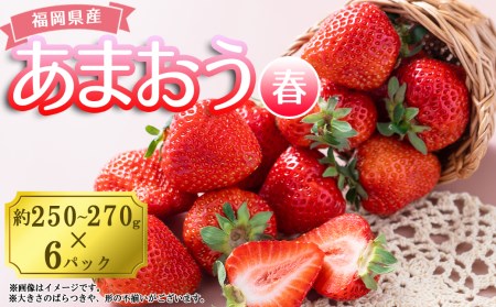 【春】福岡産あまおう6パック 3V4