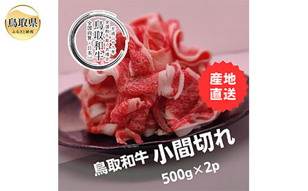 B25-001 鳥取和牛小間切れ　冷凍500g×2