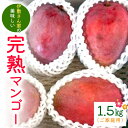 【ふるさと納税】【2025年発送】伊敷さん家の美味しい完熟マンゴー1.5kg(ご家庭用)