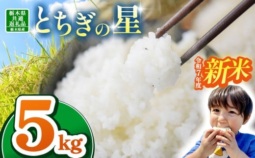 【栃木県共通返礼品】【令和7年度新米】 訳あり 栃木県産とちぎの星 5kg | ふるさと 納税 とちぎの星 お米 精米 白米 玄米 大粒 共通返礼品 送料無料 那珂川町 栃木県