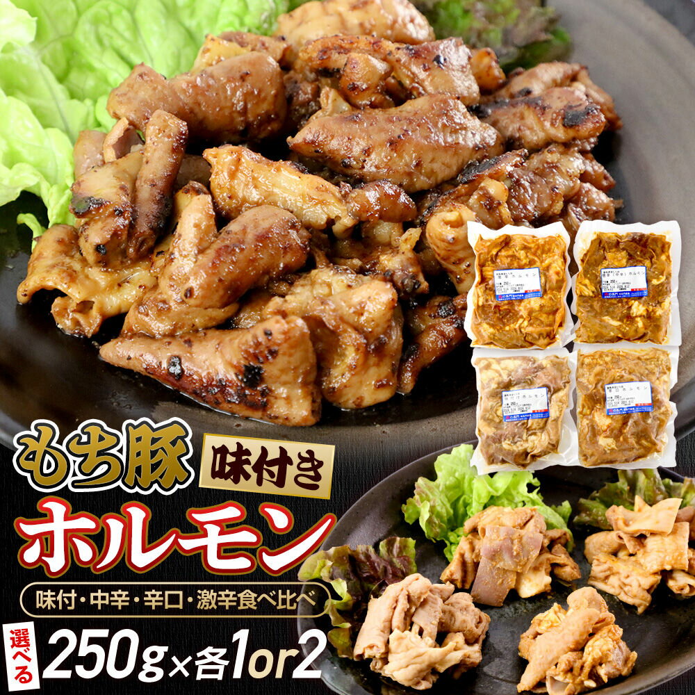 【ふるさと納税】群馬県産 もち豚ホルモン（250gパック小分け）【選べる容量 約1kg／約2kg】 4種の味付 食べ比べセット 豚肉 沼田市 特産品 肉の長門 [モチ もち ブタ ぶた 肉 ほるもん バラエティ 食べ比べ 味比べ]