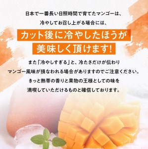 【令和8年発送】宮崎県産完熟マンゴー　三國農園　完熟マンゴー3L×2玉 【 果物 フルーツ マンゴー 宮崎県産 完熟マンゴー みやざきマンゴー 】