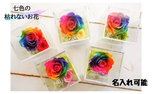 【ふるさと納税】メッセージ刻印 プリザーブドフラワー レインボーローズ クリアボックス 5色 / なないろ / 山梨県 中央市