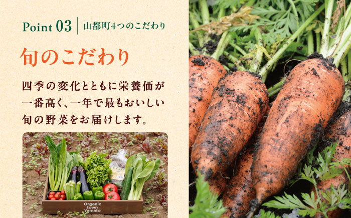 【全12回隔週定期便】有機野菜 12種セット 詰め合わせ 熊本県産 山都町産 産地直送 オーガニック【株式会社 肥後やまと】[YAF006] 124000 124,000 124000円 124,00