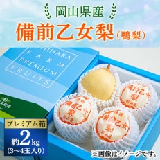 【2024年発送分】岡山県産　備前乙女梨(鴨梨)3～4玉入り2kg　プレミアム箱