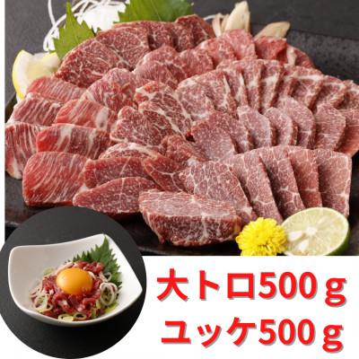 ふるさと納税 高森町 熊本直送　馬刺し　大トロ500g+ユッケ500g　合計1kg(高森町)