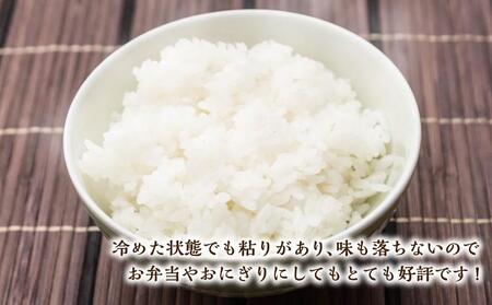 幻の米 「あや」 精米・玄米セット 各5kg 計10kg 令和5年産