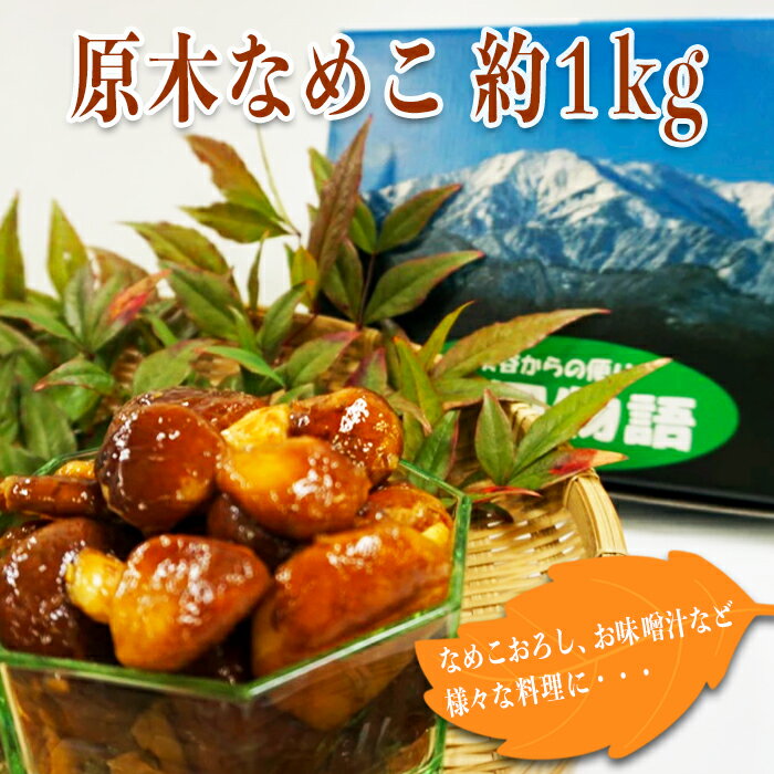 【ふるさと納税】【2025年10月～11月発送】原木なめこ約1kg_H088(R7)