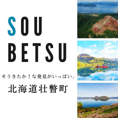 ふるさと納税 壮瞥町 【令和7年産】新山米(ななつぼし)5kg×2袋　10kg SBTC007 |  | 03