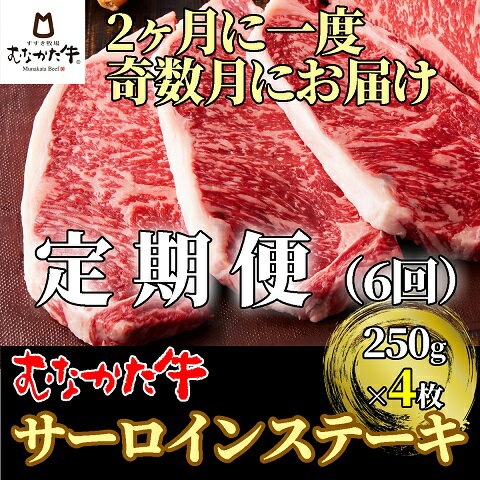 【ふるさと納税】【奇数月にお届け】むなかた牛サーロインステーキ 1kg（250g×4枚）定期便【すすき牧場】_HB0120 送料無料定期便 6回 ステーキ 牛肉 美味しい 贅沢 宗像市