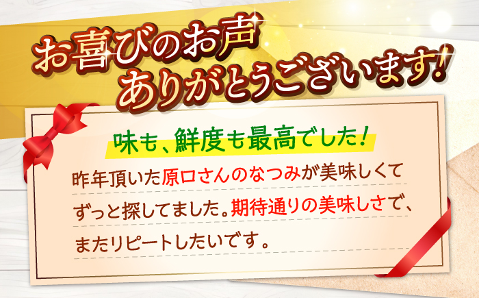 【☆先行予約☆】【1年越しの出会い】ハウス木成完熟なつみ（マンダリン）約5kg＜原口果樹園＞ [CCW006] みかん