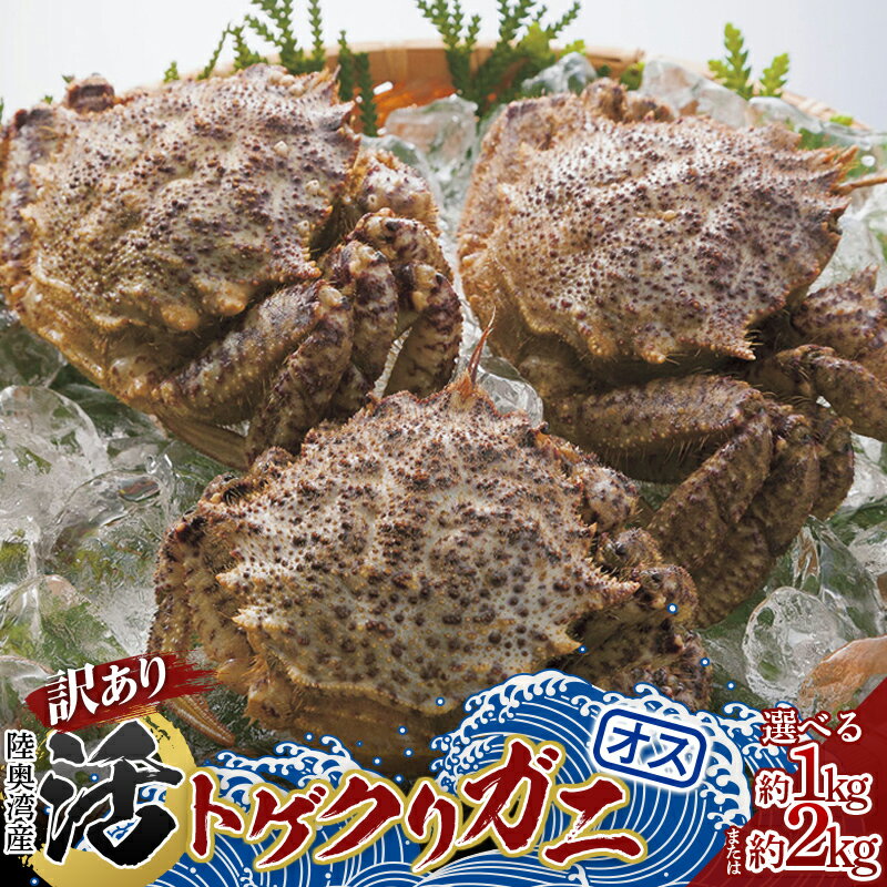 【ふるさと納税】 《訳あり》青森県 陸奥湾産 活トゲクリガニ(オス) 【選べる容量】約1kg ・約2kg【琉宝丸】 漁師直送 かに カニ 蟹 魚介 青森 青森県 東北 むつ湾 F21J-179var