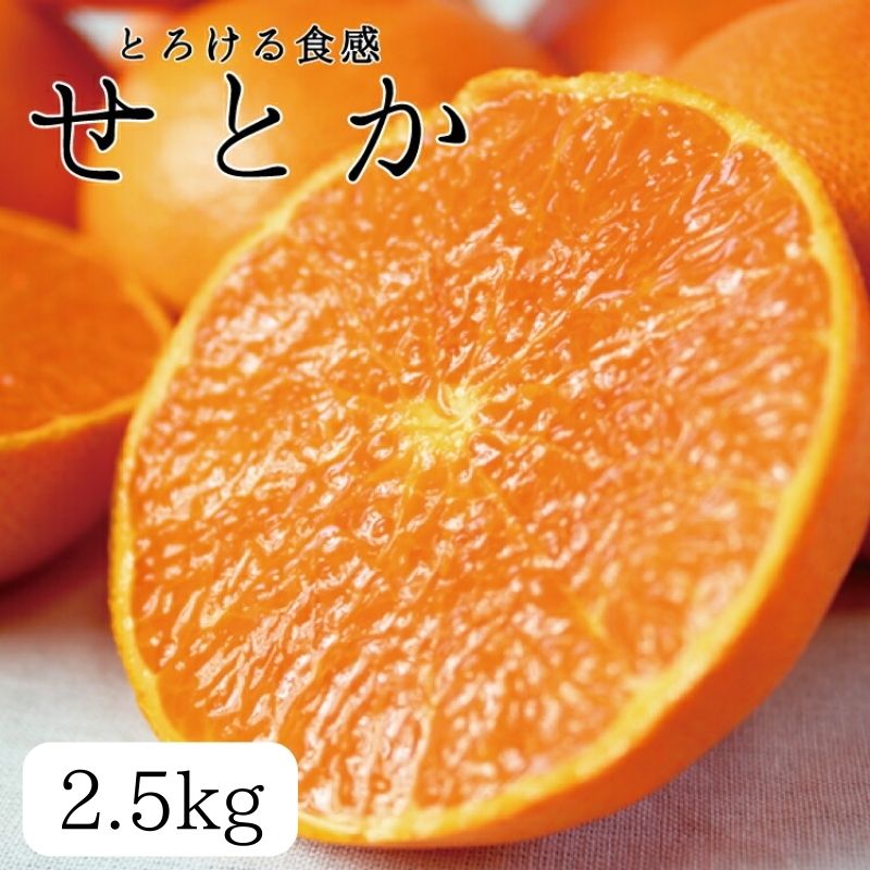 【ふるさと納税】とろける食感 ジューシー柑橘 せとか 約2.5kg ※2026年2月上旬頃～2026年2月下旬頃に順次発送予定 / みかん 蜜柑 柑橘 オレンジ 果物 フルーツ 国産 くだもの 和歌山県 すさみ町 有田みかん みかん ミカン