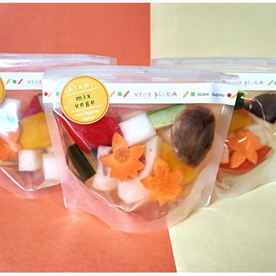 ふるさと納税 熱海市 vege pickA　ミックスベジタブル　(5袋セット)　岸浅次郎商店　熱海　カラフルピクルス　