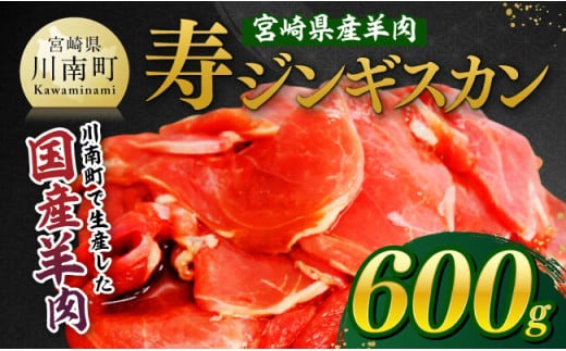 羊肉 宮崎県産羊肉 寿ジンギスカン600g（300g×2）【 肉 国産 九州産 川南町産 羊 ひつじ 味付き 】[D11904]