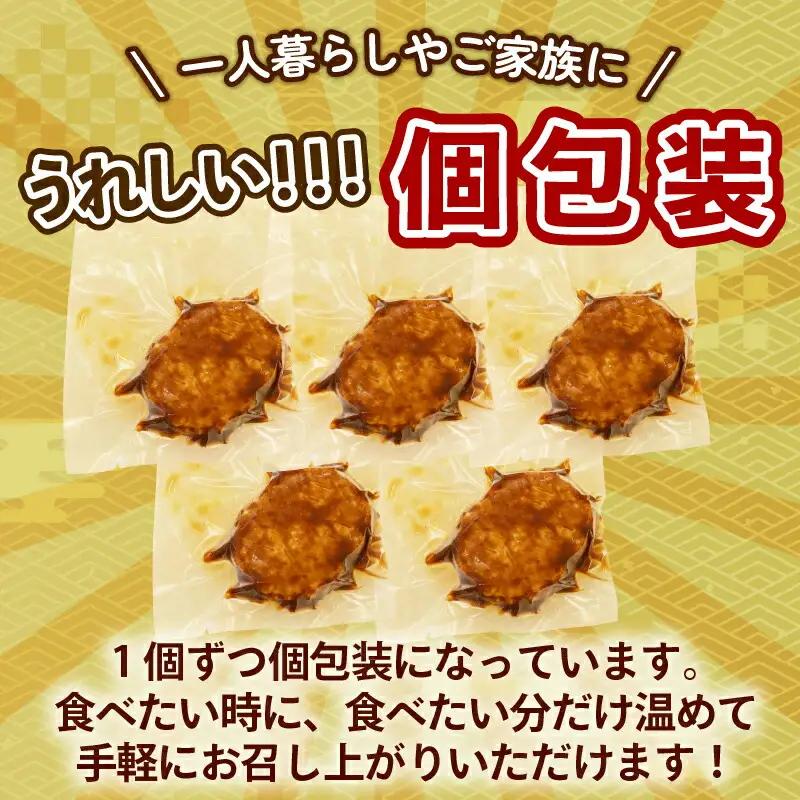 【ハンバーグ】 デミグラスソースハンバーグ 5個 5-142 ハンバーグ