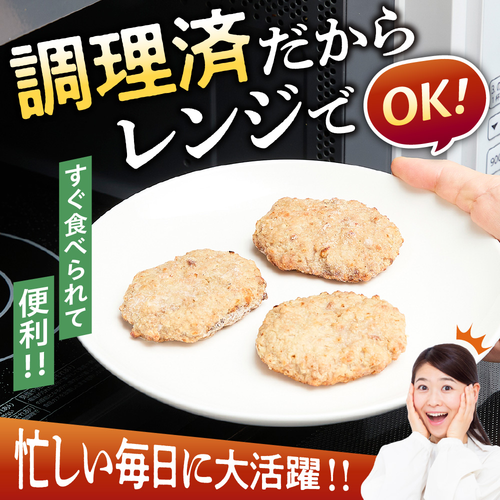 ファイヤーバーグ　焼成ミニハンバーグ25g×100個