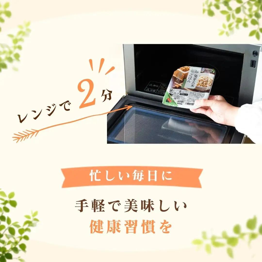 【ふるなび限定】発芽玄米 パックご飯 20個 新潟県産 レトルト 小千谷市 玄米 FN-Limited-SP