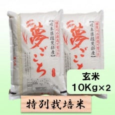 【令和6年産】特別栽培米 20kg【玄米】(夢ごこち)