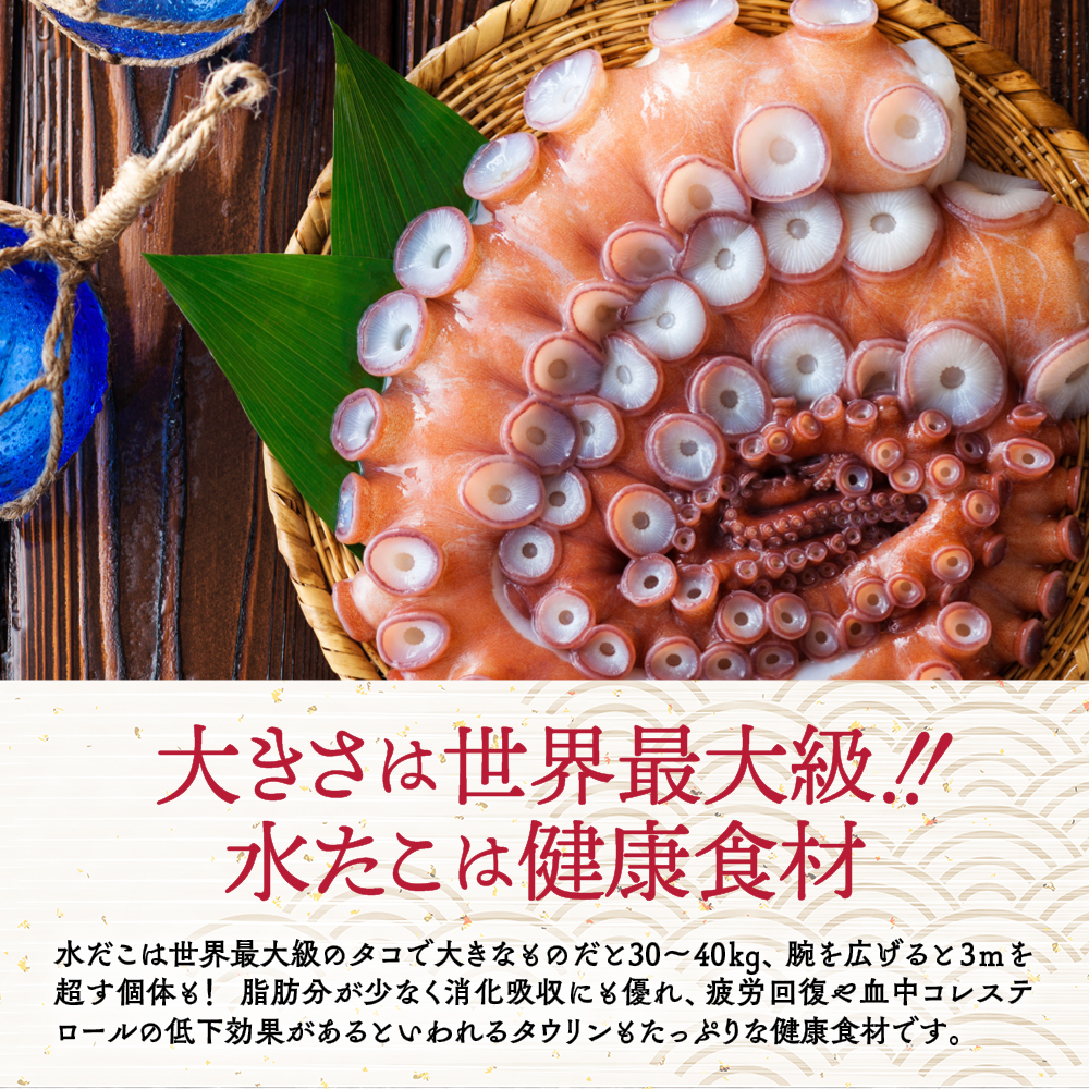 12-294 水だこ太足 小分け真空パック約700g～750g