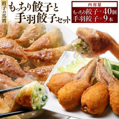 ふるさと納税 高鍋町 馬渡のもっちり餃子40個・手羽餃子9本