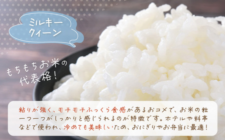 【年内配送】令和6年産 ふっくら モチモチ食感 大人気 濃厚 ミルキークィーン（白米）5kg [m29-a001]