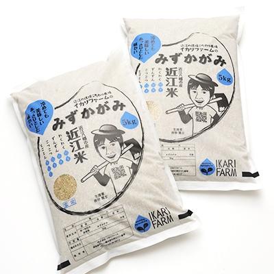 ふるさと納税 近江八幡市 【令和8年産】冷めても美味しいあっさりとした味わい「みずかがみ」玄米10kg
