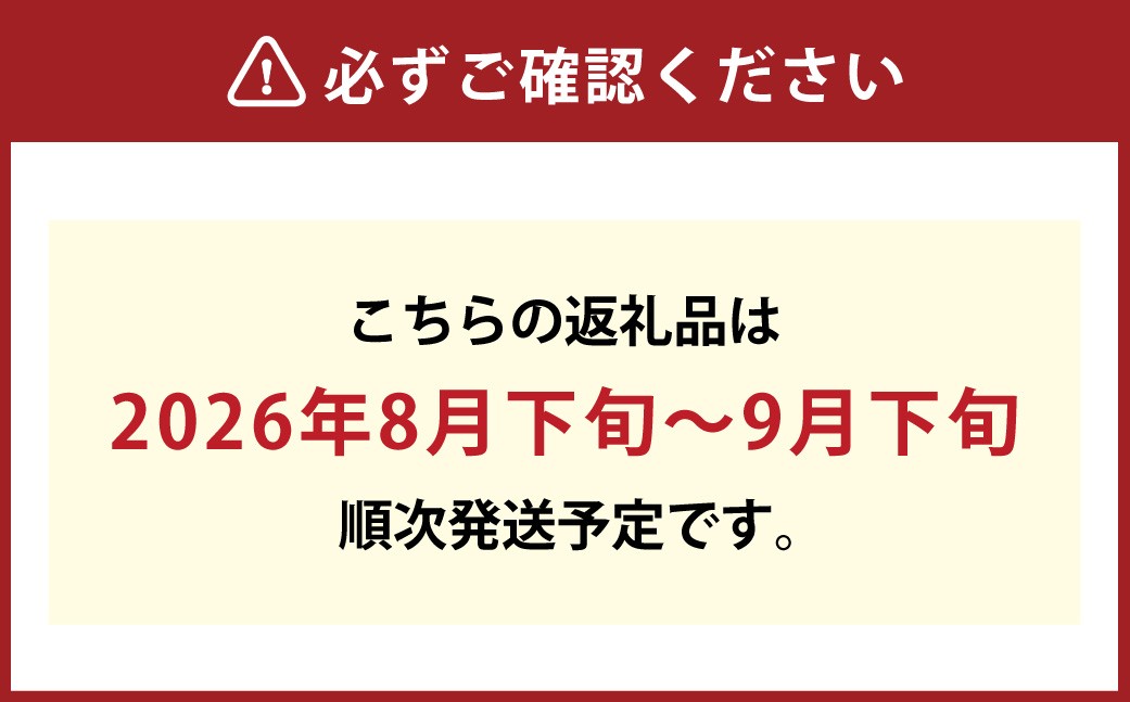 ニューピオーネ2房化粧箱入り