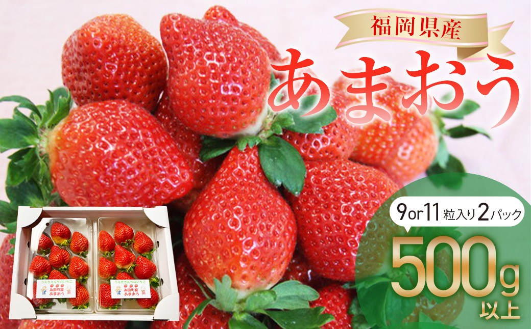 
            福岡県産 あまおう 2パック（合計500g以上） 【2026年1月上旬～3月下旬発送】 苺 あまおう フルーツ 果実 国産 贈り物 福岡産 糸田町
          