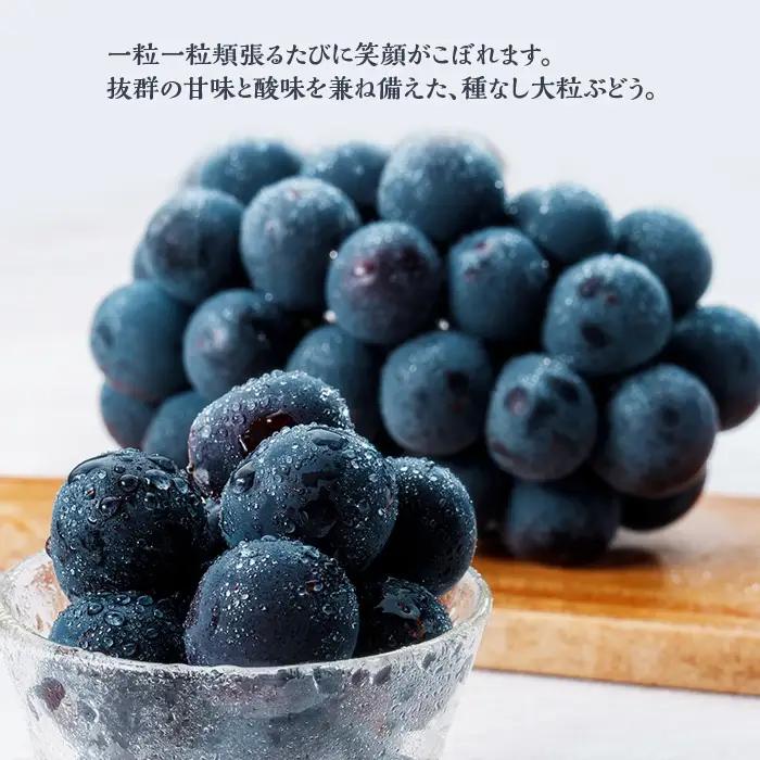 岡山県井原市美星町産 ニューピオーネ 2kg箱（3～5房入り） ご家庭用【2026年8月下旬～9月下旬発送予定】