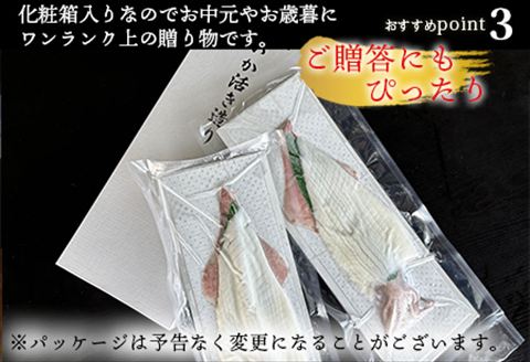 『先行予約』呼子のいか活造り(160g前後×2) 小サイズ コリコリ甘い鮮度抜群の透明感! 刺身 ギフト 冷凍 ※水揚げあり次第7月以降順次発送させていただきます