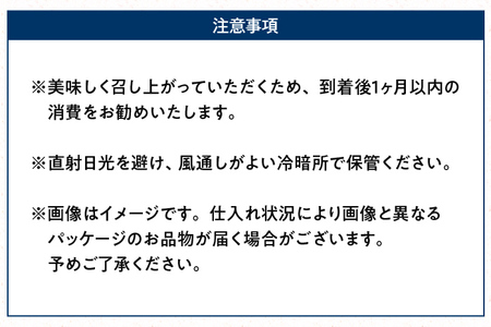 福岡の美味しいお米 元気つくし 5kg 令和4年度産 福岡県産 白米 お米 ご飯 ごはん 米 精米 おこめ こめ 送料無料